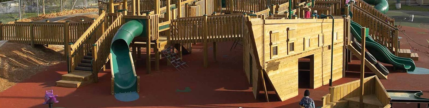 Custom designed natural wood play structures